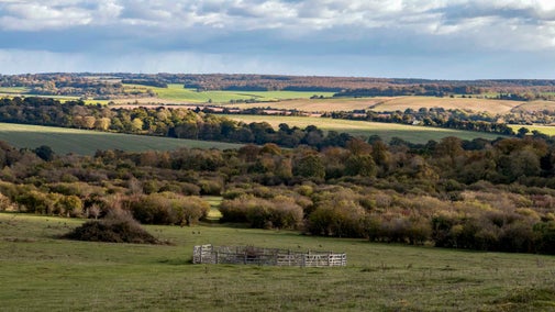 The Bronze Age burial mound at Stockbridge Down, Mottisfont, Hampshire